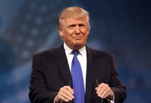 There’s little fear in Trump presidency