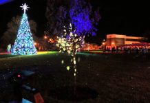 FSC takes on annual Christmas traditions