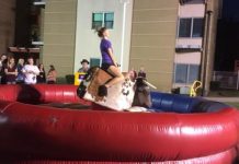 Return of fraternity buck off