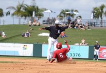 Mocs Play Detroit Tigers