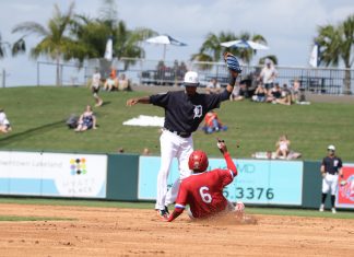 Mocs Play Detroit Tigers