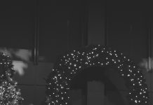 Orchestra, music profs discuss gala goals