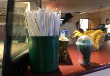 Paper straws a non-solution for FSC sustainability