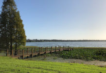 TriBeta hosts Lake Hollingsworth environmental cleanup day