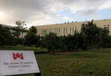 Citrus disease affects Florida’s orange trees