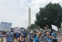 Climate strikes continue with celebrity support