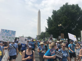 Climate strikes continue with celebrity support