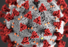 Coronavirus Updates: Florida Southern College