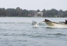 Lakeland Holds 40th Annual Swan Roundup
