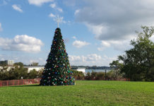 Holiday spirits remain high in COVID-19 era