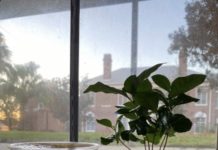 Freshman opens coffee shop out of campus dorm room