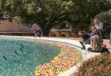 SGA makes ‘day off’ annual tradition