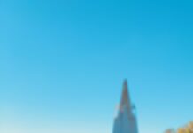 FSC begins search for new CSI director