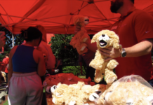 In Photos | SGA’s second annual Frank Lloyd Wright Day a success