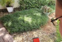 FSC reintroduces Passport program with new Corq app