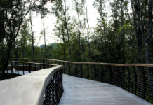 New park in Lakeland serves as a spot for the community to gather