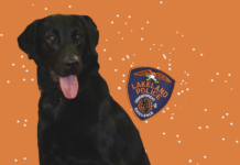 Safety introduces campus drug dog to curb fentanyl threat