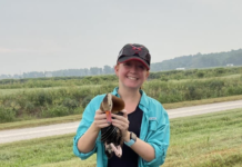 From ocean enthusiast to new FSC marine biology professor