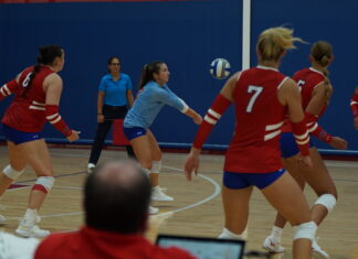 New and old faces dominate court this volleyball season