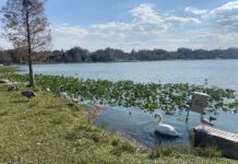 Top activities and things to do for freshmen in Lakeland
