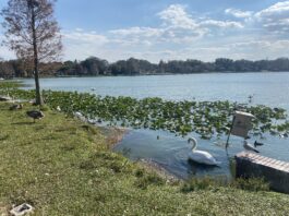 Top activities and things to do for freshmen in Lakeland