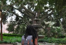 Lakeland Linder Airport is adding more flights