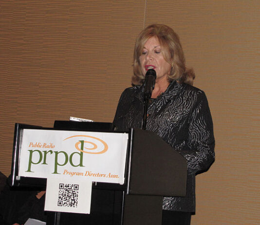 Loss of federal funding for CPB leaves opening for educational content