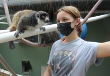 Lemurs and leaders: FSC graduate’s leap into lemur care