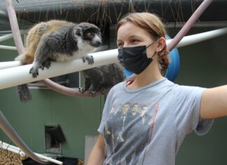 Lemurs and leaders: FSC graduate’s leap into lemur care