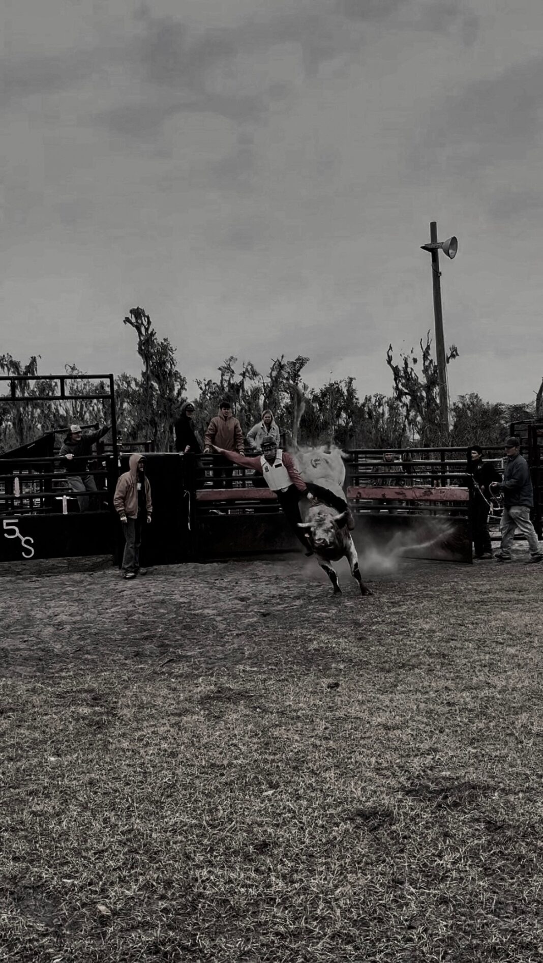 Freshman bull rider shares rollercoaster journey | The Southern Newspaper