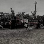 Freshman bull rider shares rollercoaster journey