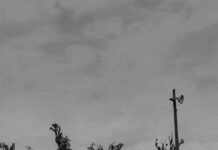 Freshman bull rider shares rollercoaster journey