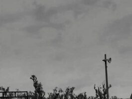 Freshman bull rider shares rollercoaster journey