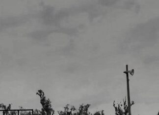 Freshman bull rider shares rollercoaster journey