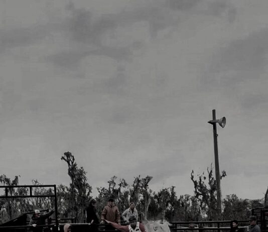 Freshman bull rider shares rollercoaster journey